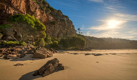 Greenglade Picnic Area - Tourism Caloundra 0