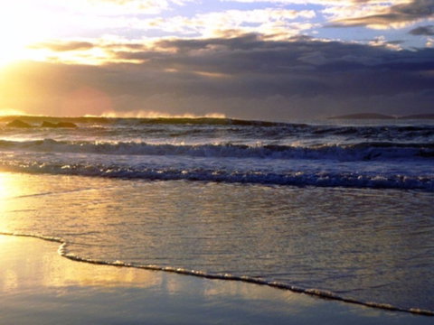 Handkerchief Beach Picnic Area - Tourism Caloundra 0