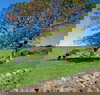 Historic Dry Stone Walls Kiama - Tourism Caloundra