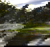 Hunter Wetlands Centre - Tourism Caloundra