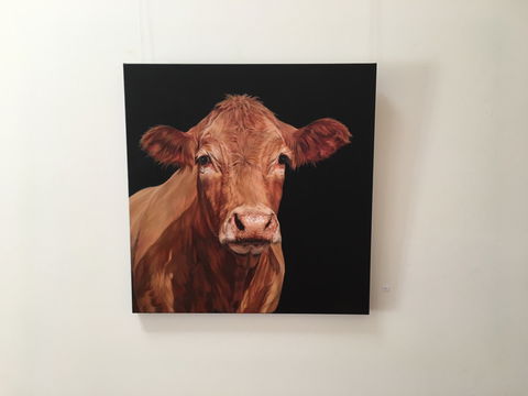Ivy Hill Gallery - Tourism Caloundra 2