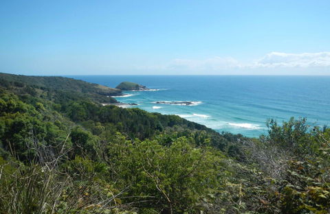 Jack Perkins Walking Track - Tourism Caloundra 0