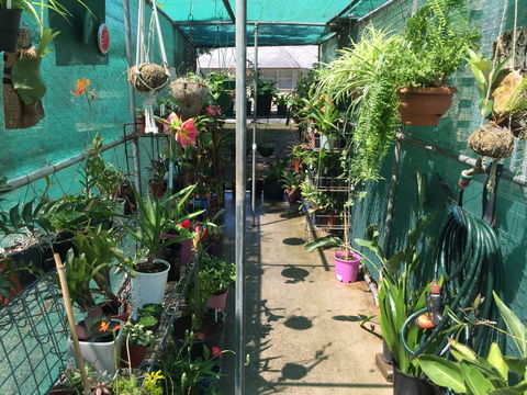 Kilcoy Craft Market - Tourism Caloundra 1
