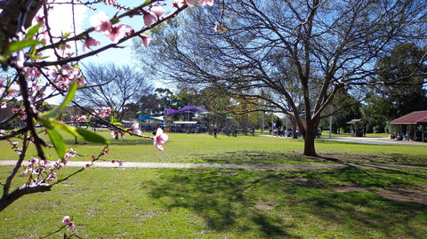 Koshigaya Park - Tourism Caloundra 0