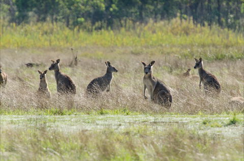 Kosciuszko National Park - Tourism Caloundra 2