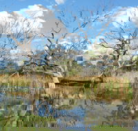 Lagoon Creek - Tourism Caloundra