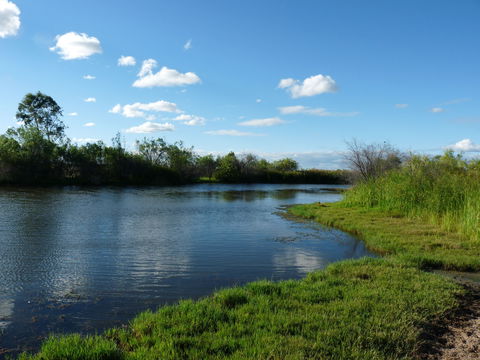 Lagoon Creek - Tourism Caloundra 2