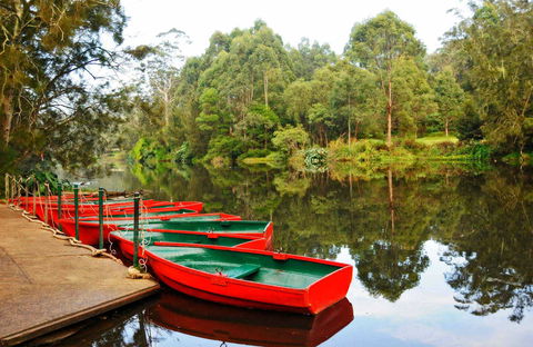 Lane Cove National Park - Tourism Caloundra 0