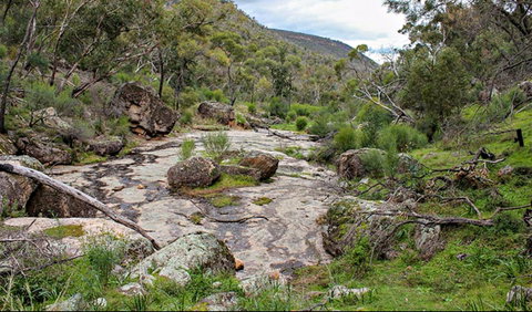 Lynchs Loop Trail - Tourism Caloundra 0