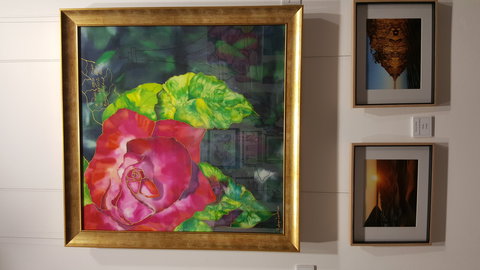 Macleay Valley Community Art Gallery - Tourism Caloundra 0