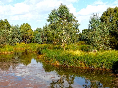 Mansfield Mullum Wetlands - Tourism Caloundra 0