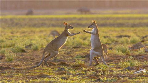 Mary River Area - Tourism Caloundra 0