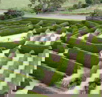 Mintaro Maze - Tourism Caloundra