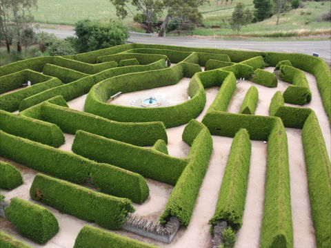 Mintaro Maze - Tourism Caloundra 0
