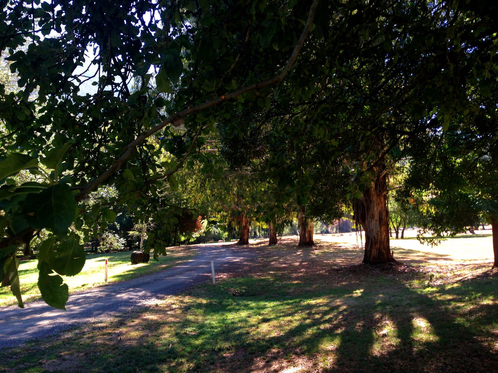 Mirimbah VIC Tourism Caloundra
