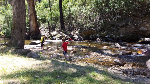 Mirimbah Park - Tourism Caloundra 1