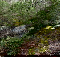 Mongarlowe River picnic area - Tourism Caloundra