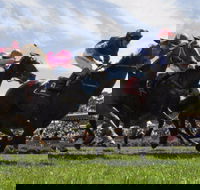 Moruya Racecourse - Tourism Caloundra