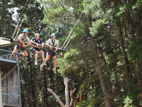 Mount Lofty Adventure Hub - Tourism Caloundra 1