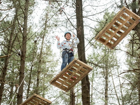 Mount Lofty Adventure Hub - Tourism Caloundra 2