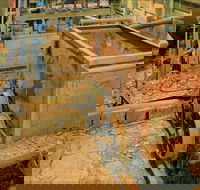Mountain Maid gold mine - Tourism Caloundra