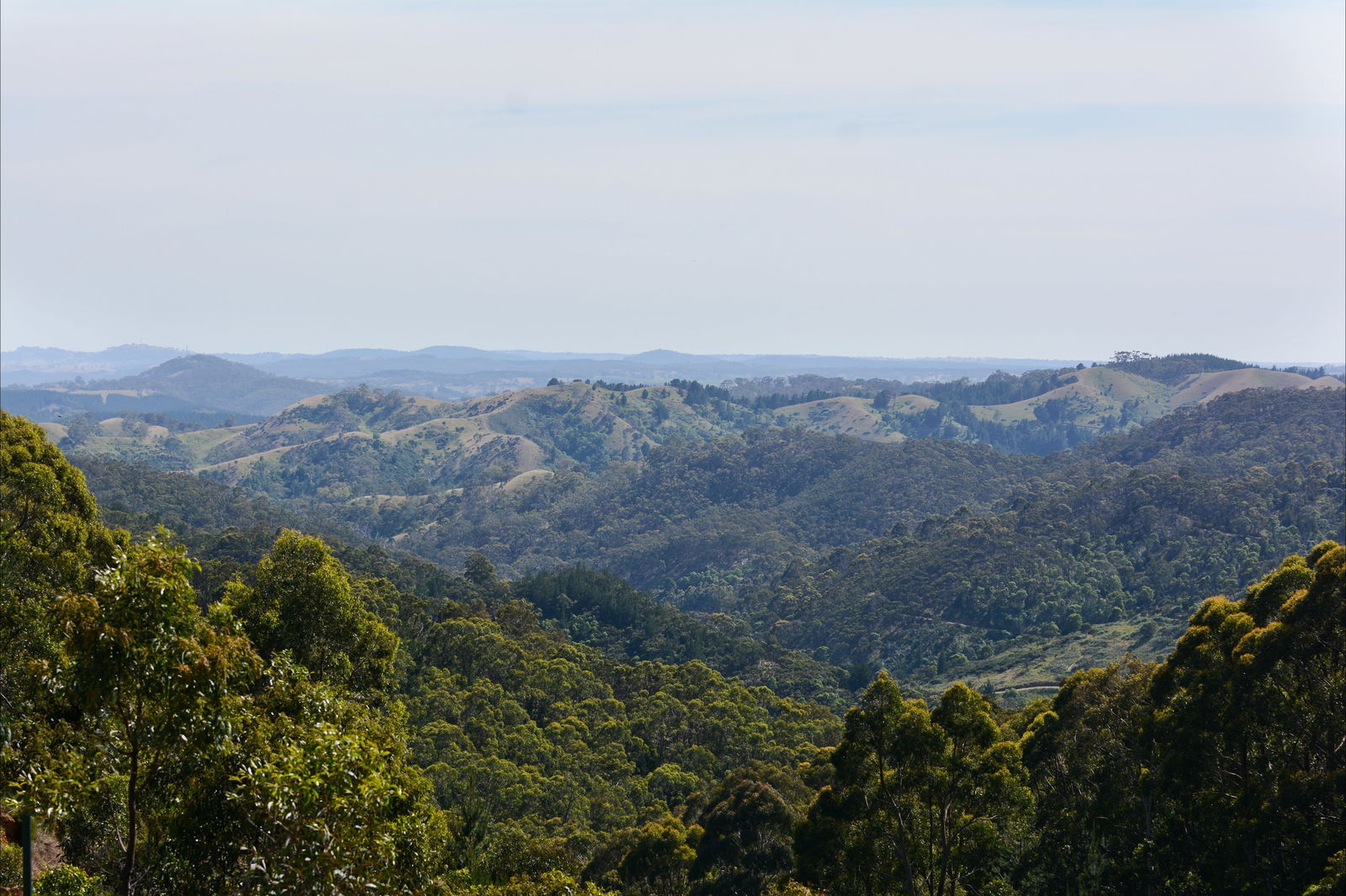 Mount Crawford SA Tourism Caloundra