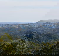 Mount Crawford Forest Reserve - Tourism Caloundra