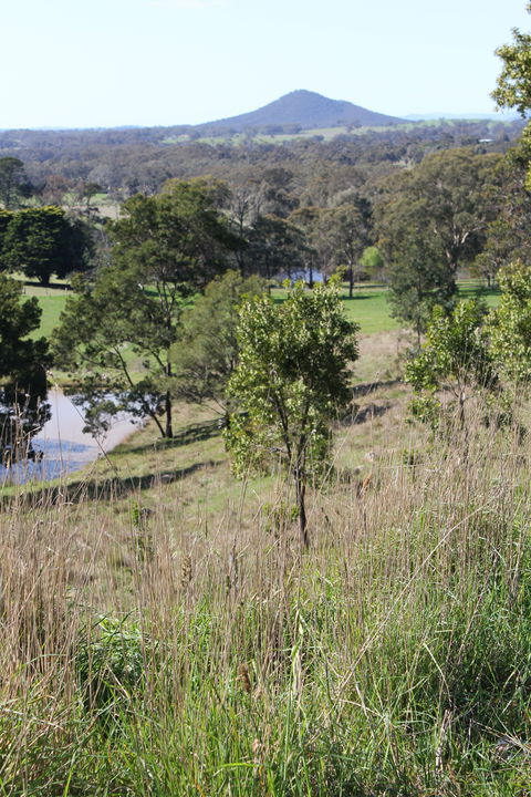 Mt Piper Nature Conservation Reserve - Tourism Caloundra 1
