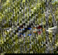 Murray River canoe trails - Tourism Caloundra