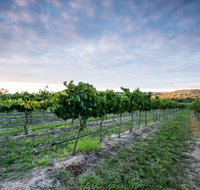 Nature and Foodies Trail - Tourism Caloundra