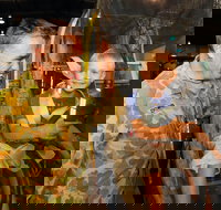 Oakey - Tourism Caloundra