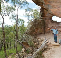 Pilliga National Park - Tourism Caloundra