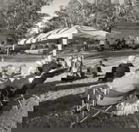 Pioneer Park - Tourism Caloundra