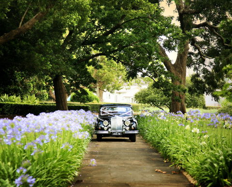 Queens Park, Toowoomba - Tourism Caloundra 2