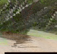 Riverview walking track - Tourism Caloundra