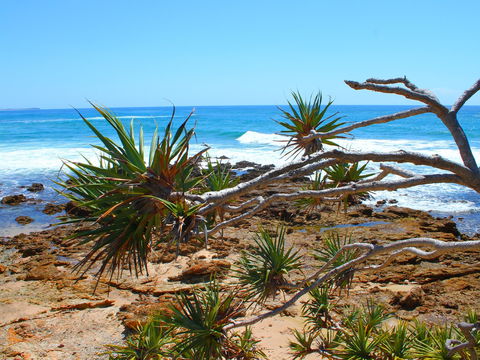 Rocky Point - Tourism Caloundra 1