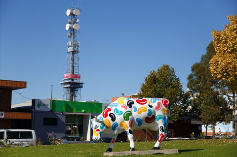 Shepparton Tower - Tourism Caloundra 1