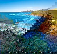 Shellgrit Beach Red Head - Tourism Caloundra