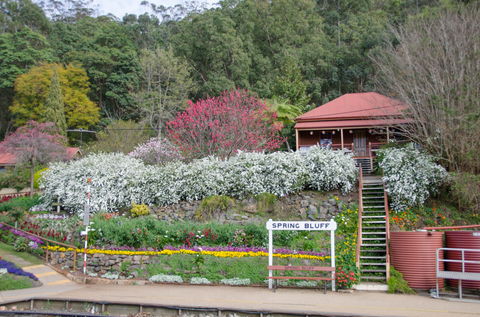 Spring Bluff Railway Station - Tourism Caloundra 1