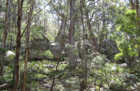Tallaganda National Park - Tourism Caloundra 0