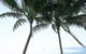 Taylors Beach - thumb 0