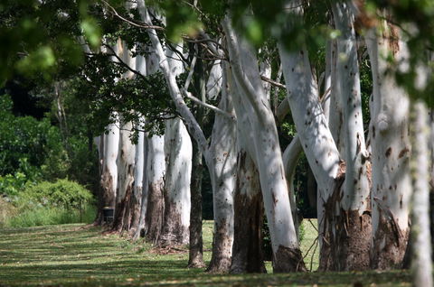 Teven Valley Golf Course - Tourism Caloundra 1