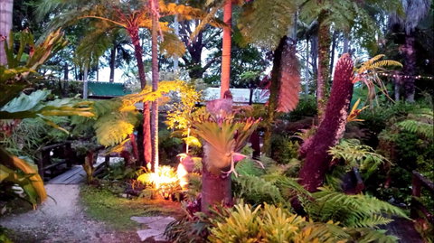 The Fernery At Diamond Waters - Tourism Caloundra 0