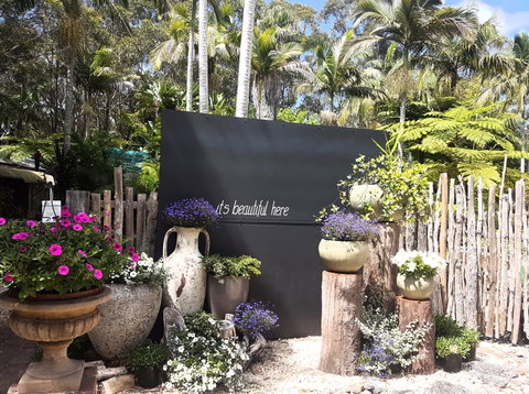 The Fernery At Diamond Waters - Tourism Caloundra 1