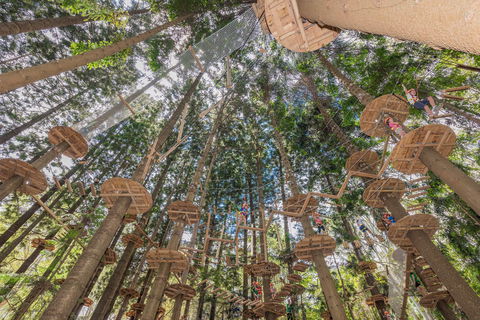 TreeTops Sydney The Hills - Tourism Caloundra 1