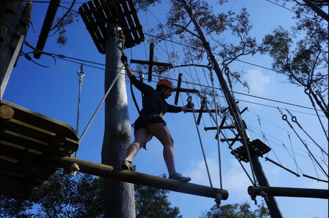 Trees Adventure Nowra Park - Tourism Caloundra 0