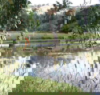Tumut Wetlands - Tourism Caloundra