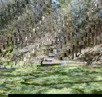 Wallaby Walking Track - Tourism Caloundra