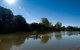Wilsons River Experience Walk - thumb 1