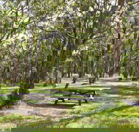 Wollomombi Gorge and Falls Picnic Area - Tourism Caloundra